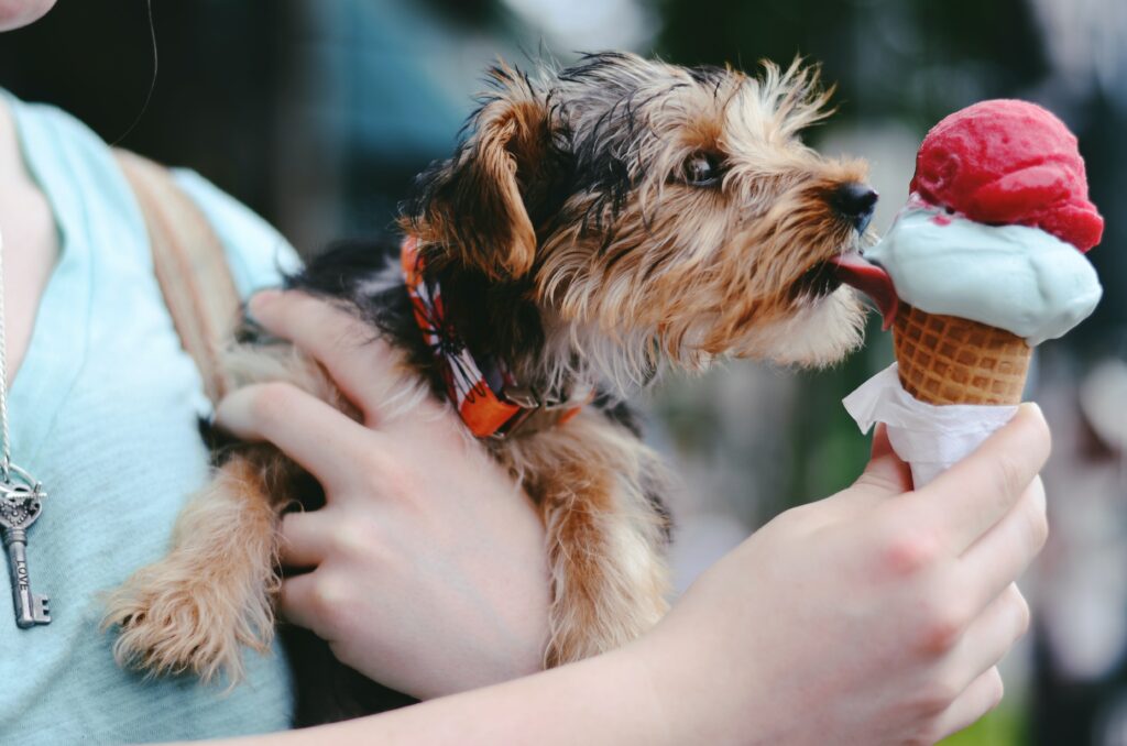 Is sugar harmful for dogs clearance