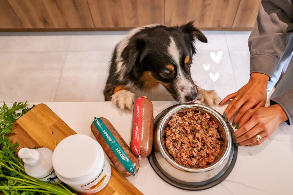 Dog eating food deals