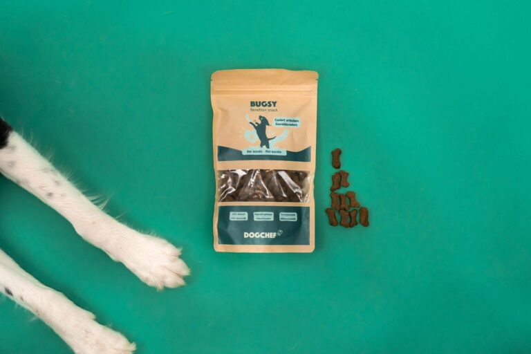 Mag een hond noten eten? Dog Chef