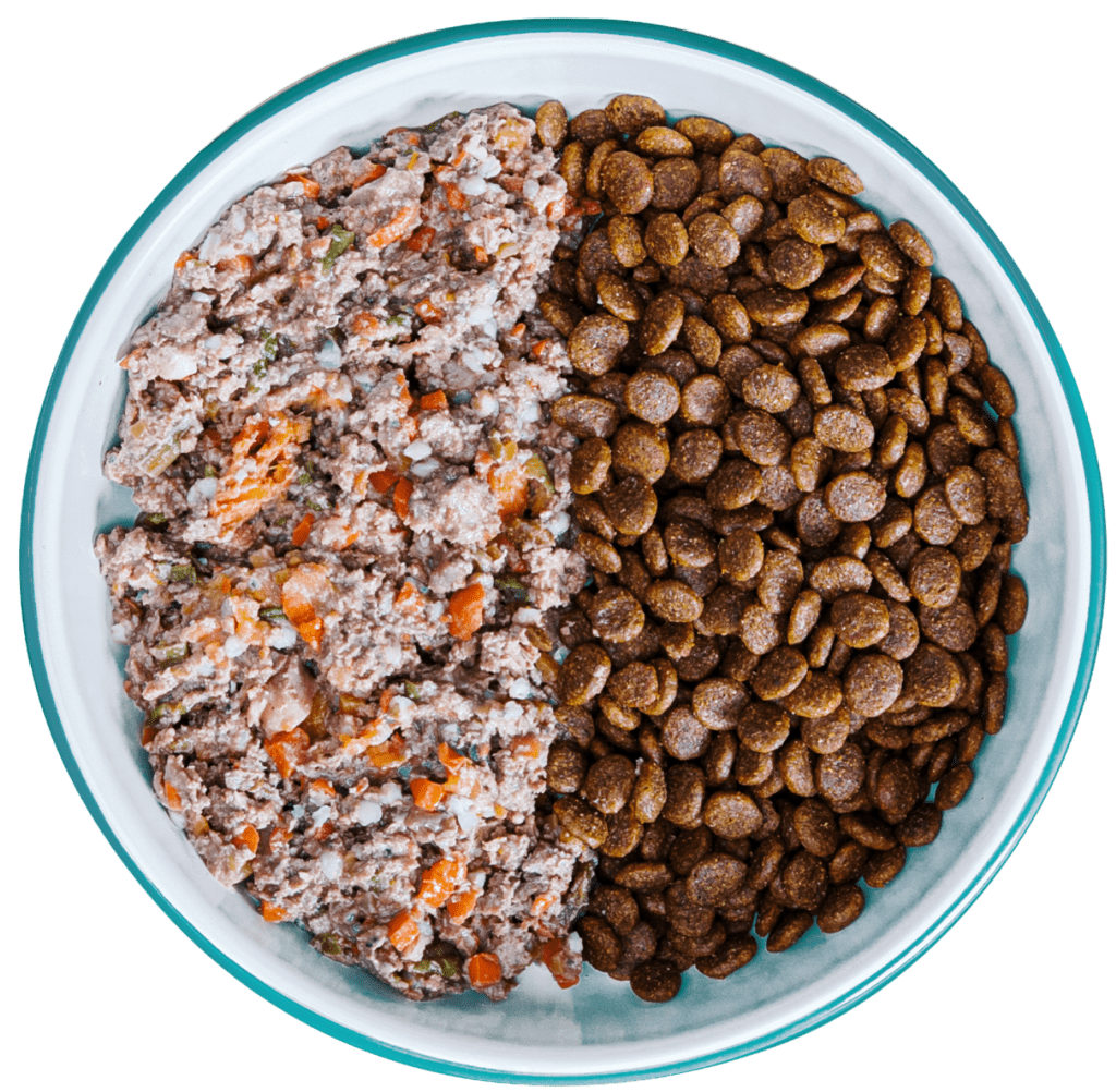 Specialised sales dog food